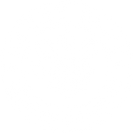 Sandy Paws Collar Co