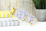 Daisy Dog Collar - Lavender ~ Summer Floral Cotton Fabric Dog Collar ~ Fashion Dog Collar ~ Yellow Gold Hardware ~ Sandy Paws Collar Co®