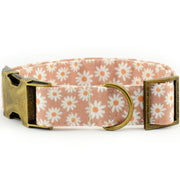 Daisy Dog Collar - Camel ~ Floral Fabric Dog Collar ~ Cute Dog Collar ~ Girl Dog Collar ~ Antique Bronze Hardware ~ Sandy Paws Collar Co®