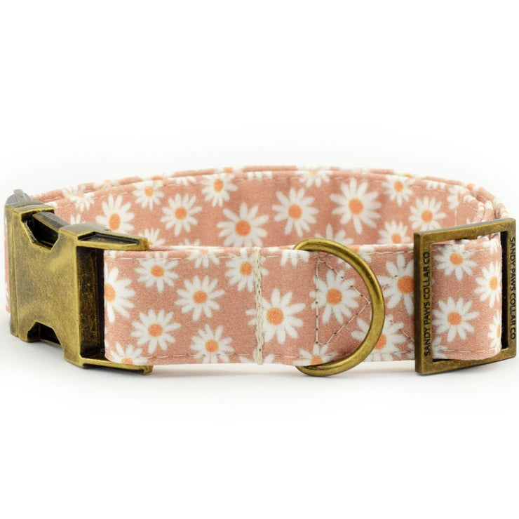 Daisy Dog Collar - Camel ~ Floral Fabric Dog Collar ~ Cute Dog Collar ~ Girl Dog Collar ~ Antique Bronze Hardware ~ Sandy Paws Collar Co®
