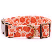 Pumpkin Pie Dog Collar ~ Thanksgiving Fall Fashion Dog Collar ~ Fabric Dog Collar ~ Antique Bronze Metal Hardware ~ Sandy Paws Collar Co®