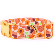 Turkey Day Dog Collar ~ Thanksgiving Fall Fashion Dog Collar ~ Fabric Dog Collar ~ Yellow Gold Metal Hardware ~ Sandy Paws Collar Co®