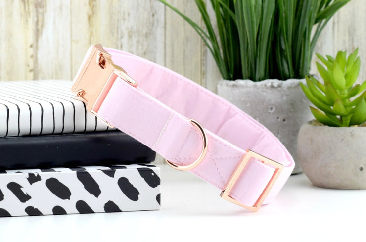 solid blush pink dog collar