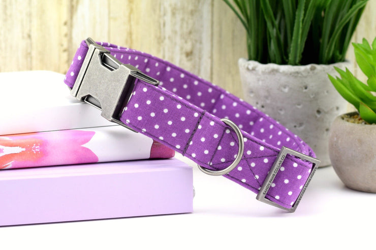 purple polka dot dog collar