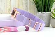 Solid Light Purple Dog Collar