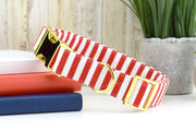 Striped Dog Collar - Red & White