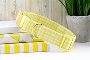 Painted Gingham Dog Collar - Yellow & White