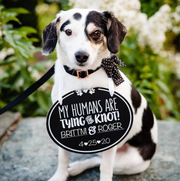Pet Wedding Announcement Chalkboard