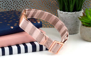 Painted Stripe Dog Collar - Blush & Rose Gold