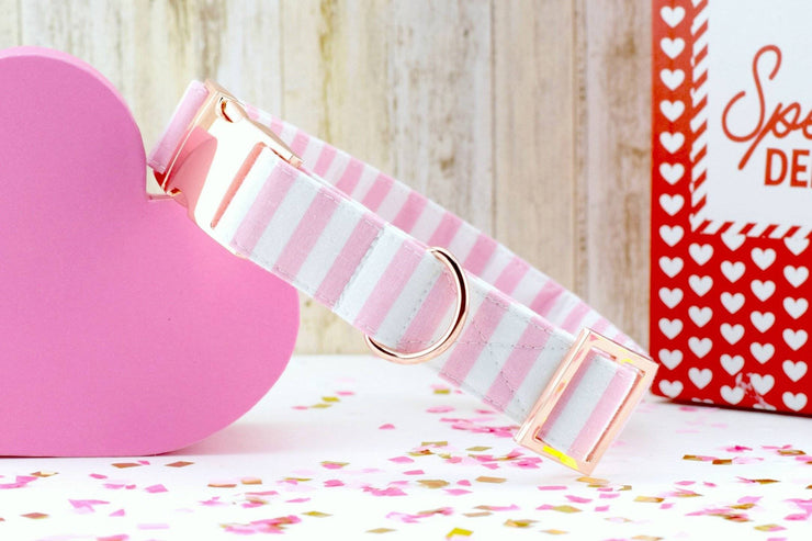 Striped Dog Collar - Light Pink & White