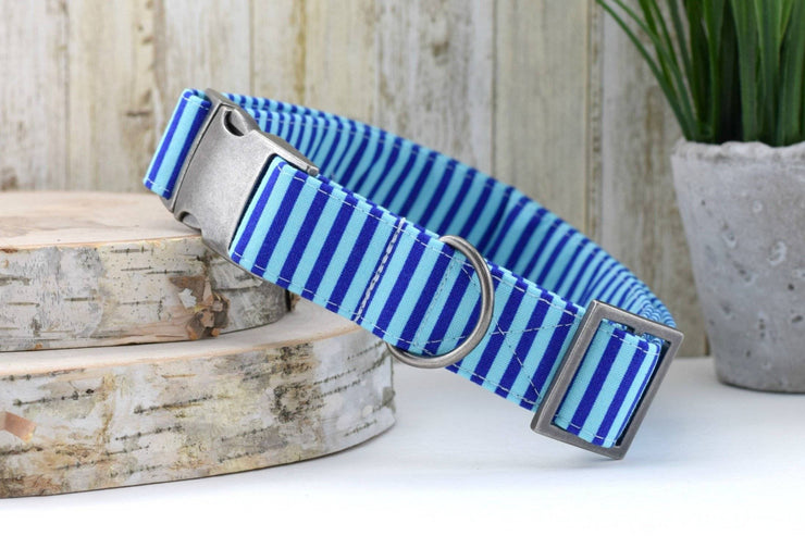 Striped Dog Collar - Royal & Light Blue
