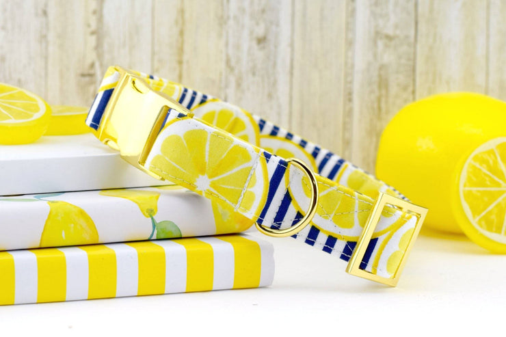 Lemon Striped Dog Collar
