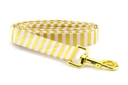 Striped Dog Leash - Yellow Gold & Pink