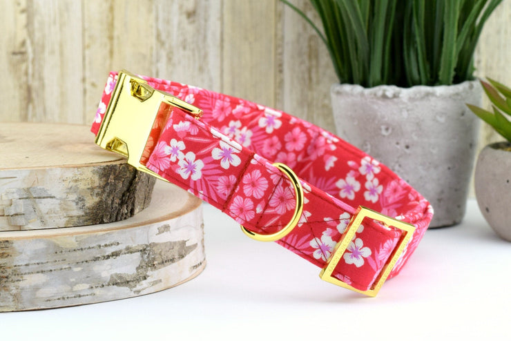 Tropical Hibiscus Dog Collar - Red