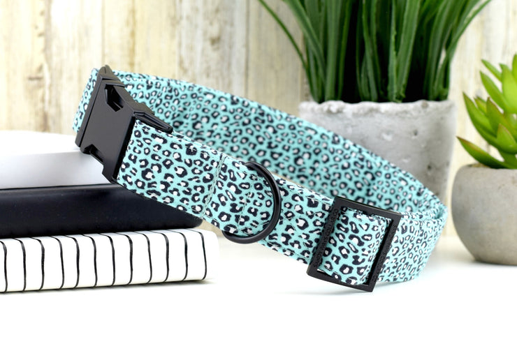 Mini Cheetah Dog Collar - Aqua & Black