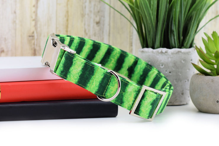 Watermelon Rind Dog Collar ~ Summer Fabric Dog Collar ~ Fashion Dog Collar ~ Silver Metal Hardware ~ Sandy Paws Collar Co