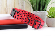Watermelon Seed Dog Collar ~ Summer Fabric Dog Collar ~ Fashion Dog Collar ~ Matte Black Hardware - Sandy Paws Collar Co