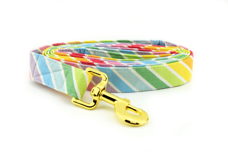 Rainbow Stripe Dog Leash ~ Rainbow Fabric Dog Leash ~ Fashion Dog Leash ~ Yellow Gold Hardware ~ Sandy Paws Collar Co