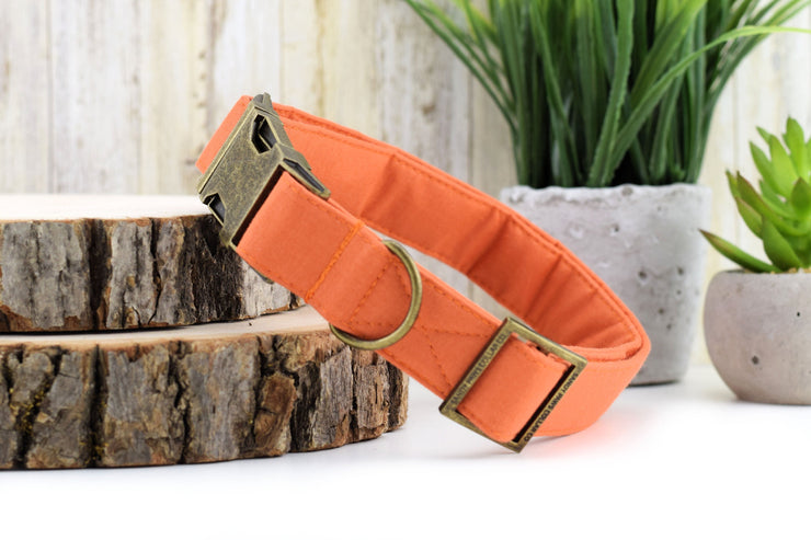Solid Autumn Orange Dog Collar ~ Solid Fashion Dog Collar ~ Fabric Dog Collar ~ Antique Bronze Metal Hardware ~ Sandy Paws Collar Co