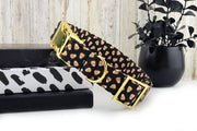 Candy Corn Dog Collar ~ Fall Fabric Dog Collar - Halloween Dog Collar - Yellow Gold Metal Hardware ~ Sandy Paws Collar Co