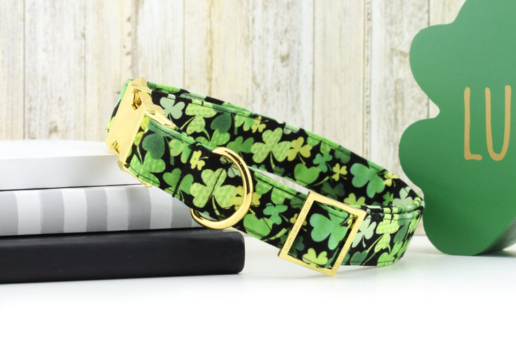 Shamrock Dog Collar ~ St Patrick's Day Shamrock Cotton Fabric Dog Collar ~ Yellow Gold Hardware ~ Sandy Paws Collar Co®