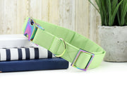 Solid Spring Green Dog Collar ~ Fabric Dog Collar ~ Fashion Dog Collar ~ Rainbow/Iridescent Metal Hardware ~ Sandy Paws Collar Co®