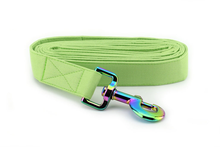 Solid Spring Green Dog Leash ~ Fabric Dog Leash ~ Fashion Dog Leash ~ Rainbow/Iridescent Hardware ~ Sandy Paws Collar Co®