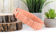 Solid Apricot Dog Collar ~ Summer Peach Fabric Dog Collar ~ Custom Dog Collar ~ Rose Gold Hardware ~ Sandy Paws Collar Co®