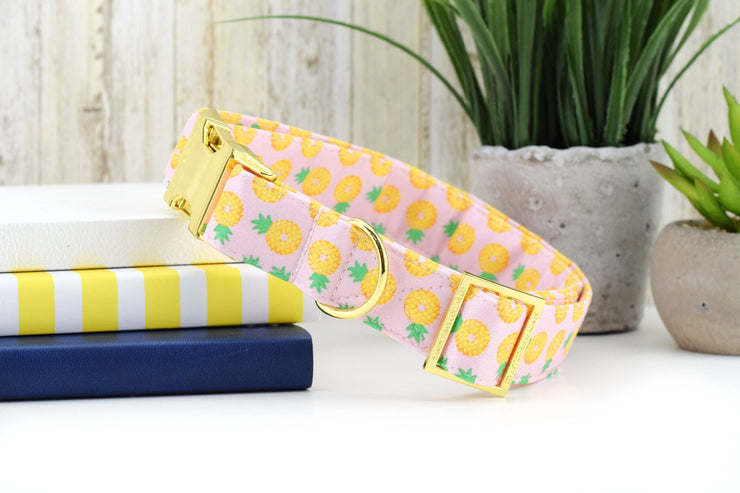Pineapple Float Dog Collar - Pink ~ Summer Fabric Dog Collar ~ Pineapple Fashion Dog Collar ~ Yellow Gold Hardware ~ Sandy Paws Collar Co®