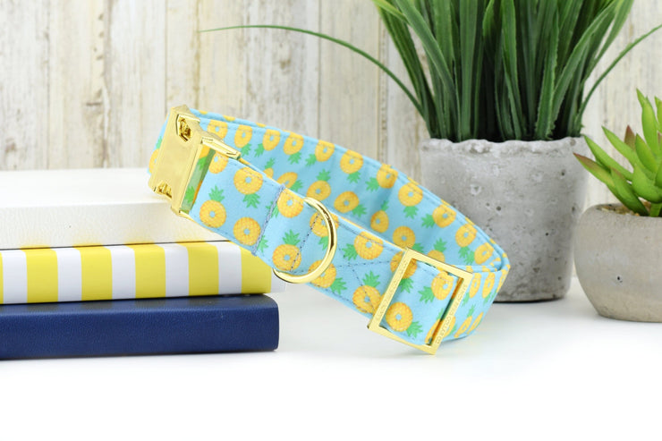 Pineapple Float Dog Collar - Blue ~ Summer Fabric Dog Collar ~ Pineapple Fashion Dog Collar ~ Yellow Gold Hardware ~ Sandy Paws Collar Co®
