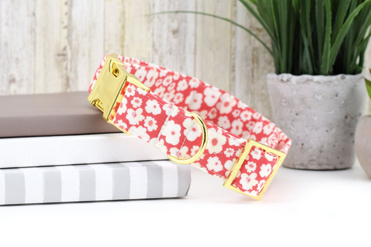 Daisy Print Dog Collar - Red ~ Summer Flower Fabric Collar ~ Fashion Dog Collar ~ Yellow Gold Metal Hardware ~ Sandy Paws Collar Co®