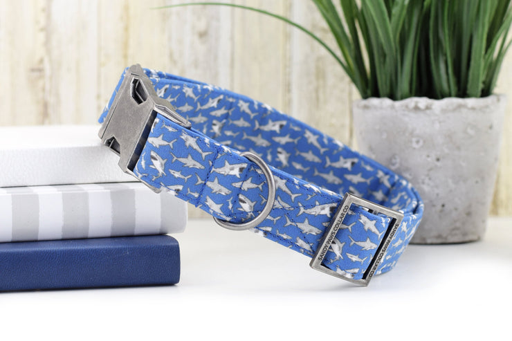 Shark Bite Dog Collar ~ Summer Fabric Dog Collar ~ Beach Fashion Dog Collar ~ Antique Silver Hardware ~ Sandy Paws Collar Co®
