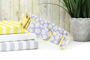 Daisy Dog Collar - Lavender ~ Summer Floral Cotton Fabric Dog Collar ~ Fashion Dog Collar ~ Yellow Gold Hardware ~ Sandy Paws Collar Co®