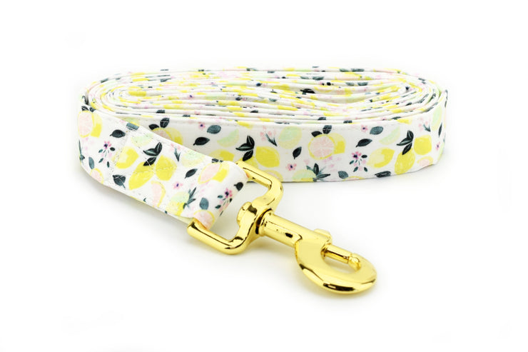 Pink Lemonade Dog Leash ~ Lemon Fabric Dog Leash ~ Fashion Dog Leash ~ Yellow Gold Hardware ~ Sandy Paws Collar Co
