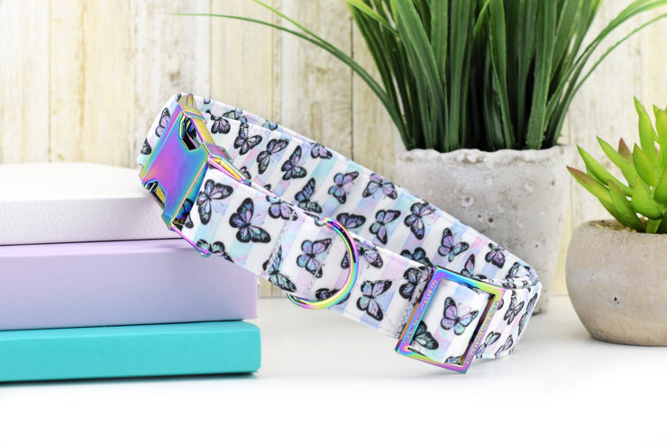 Butterfly Dog Collar - Rainbow Striped ~ Fashion Dog Collar ~ Fabric Dog Collar ~ Rainbow/Iridescent Metal Hardware ~ Sandy Paws Collar Co®