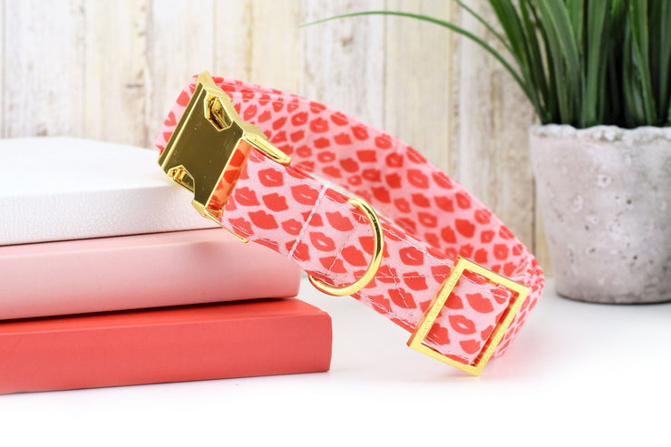 Valentine's Kisses Dog Collar ~ Valentine's Day Cotton Fabric Fashion Dog Collar ~ Yellow Gold Metal Hardware ~Sandy Paws Collar Co®