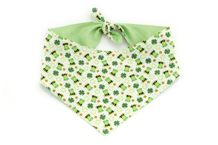 Leprechaun Hat Tie-On Dog Bandana ~ St Patrick's Day Shamrock and Leprechaun Hat Cotton Fabric Dog Bandana ~ Sandy Paws Collar Co®