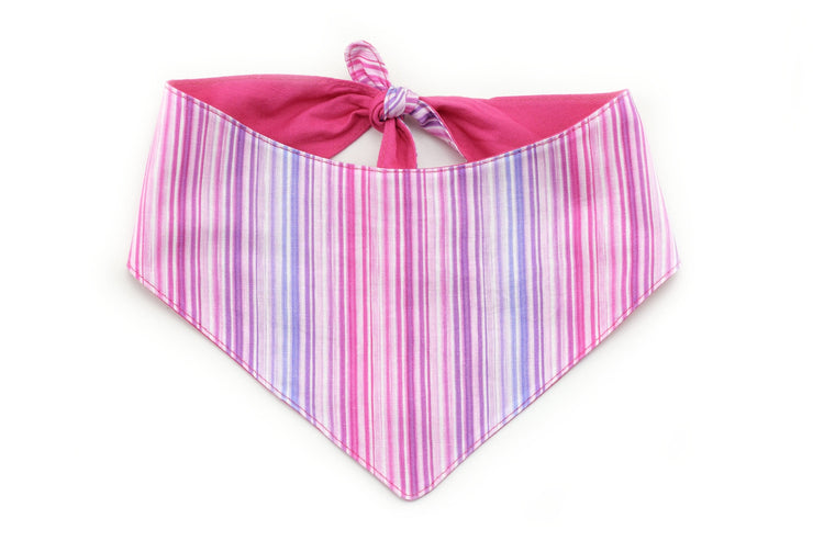 Ombre Stripe Tie-On Dog Bandana - Pink ~ Reversible Striped Dog Bandana ~ Spring Dog Bandana ~ Custom Dog Bandana ~ Sandy Paws Collar Co®