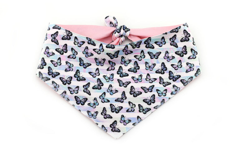 Butterfly Tie-On Dog Bandana - Rainbow Striped ~ Reversible Dog Bandana ~ Spring Dog Bandana ~ Custom Dog Bandana ~ Sandy Paws Collar Co®