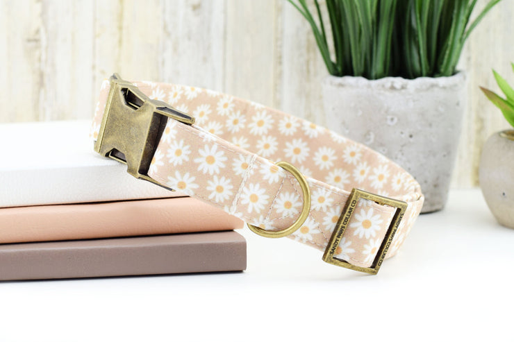 Daisy Dog Collar - Tan ~ Floral Fabric Dog Collar ~ Cute Dog Collar ~ Girl Dog Collar ~ Antique Bronze Hardware ~ Sandy Paws Collar Co®