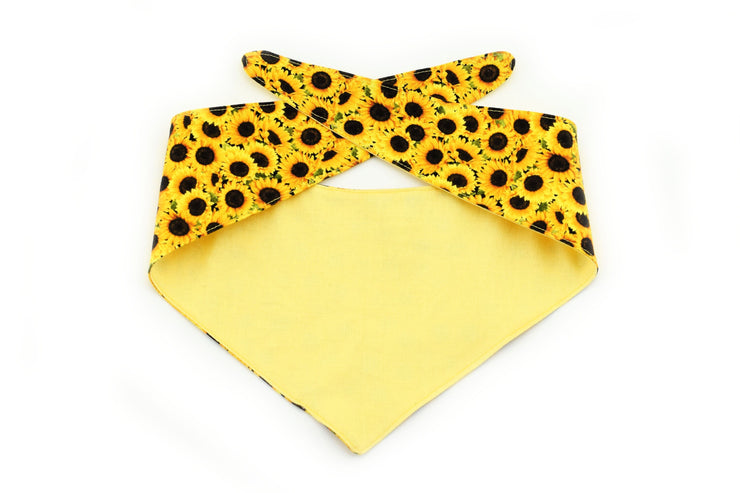 Sunflower Tie-On Dog Bandana ~ Reversible Sunflower Dog Bandana ~ Summer Dog Bandana ~ Custom Dog Bandana ~ Sandy Paws Collar Co®