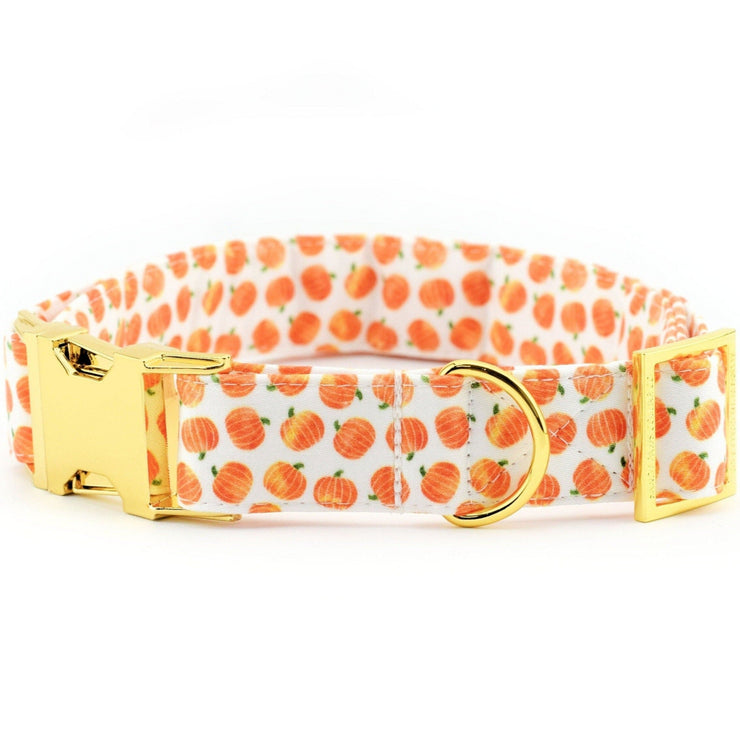 Pumpkin Patch Dog Collar ~ Fall Fabric Dog Collar ~ Personalized Dog Collar ~ Yellow Gold Hardware ~ Sandy Paws Collar Co®
