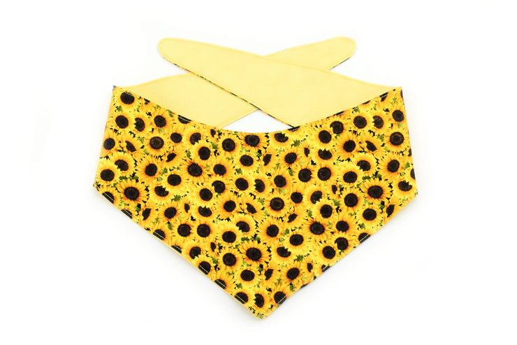 Sunflower Tie-On Dog Bandana ~ Reversible Sunflower Dog Bandana ~ Summer Dog Bandana ~ Custom Dog Bandana ~ Sandy Paws Collar Co®