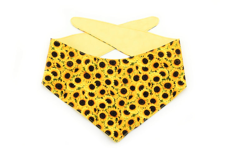 Sunflower Tie-On Dog Bandana ~ Reversible Sunflower Dog Bandana ~ Summer Dog Bandana ~ Custom Dog Bandana ~ Sandy Paws Collar Co®