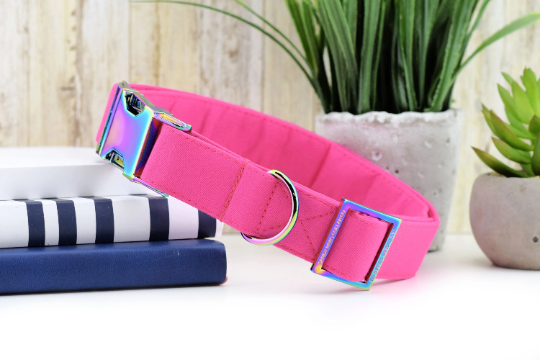Solid Fuchsia Dog Collar